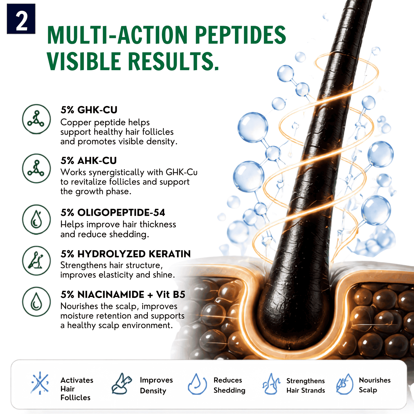 An informational graphic for a hair growth spray showing a close-up of a hair follicle and scalp with text listing vikey ingredients and their benefits such as 5% GHK-CU, 5% AHK-Cu, 5% oligopeptide-54, 5% hydrolyzed keratin, and 5% niacinamide + Vit B5. The left side contains bullet points and icons, while the right side shows a detailed illustration of the hair follicle, oil droplets, and blue water drops.