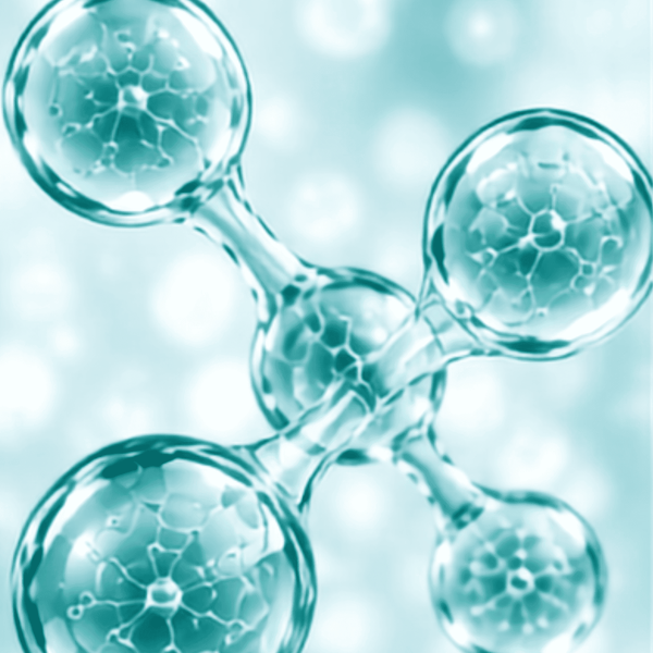 A close-up abstract view of a transparent glass or acrylic molecule-like structure with four rounded ends against a soft aqua background for EGF growh factor.